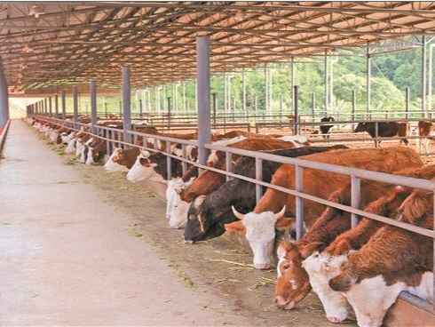 污水處理廠除臭不用擔(dān)心，微菌環(huán)境很在行